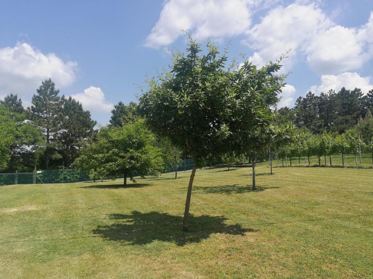 Casa vacanze Bottyahát *